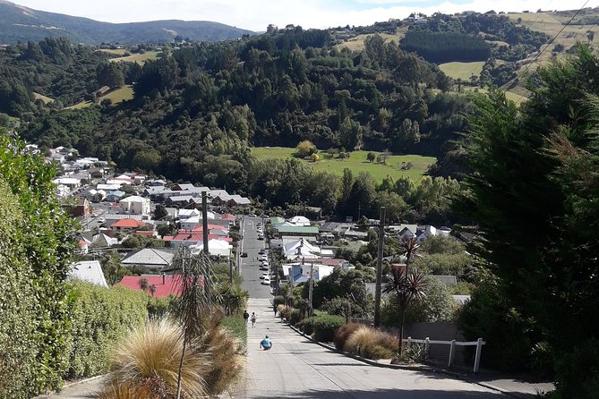 Dunedin Nature & City Tour – Full Day Cruise Excursion - Captain Scott’s memorial and the ship-spotting payoff