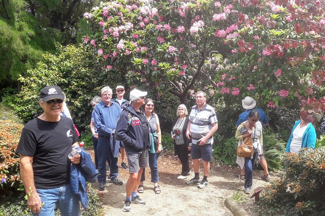 Dunedin Nature & City Tour – Full Day Cruise Excursion - Price and value: is $58.95 a good deal?