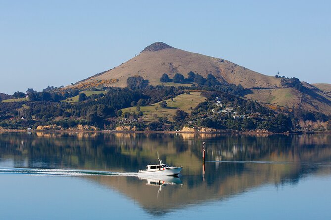 Dunedin Shore Excursion - Sightseeing, Larnach Castle, Chinese Garden & Museum - Dunedin Chinese Garden: A Proper Hour for Quiet Strolls