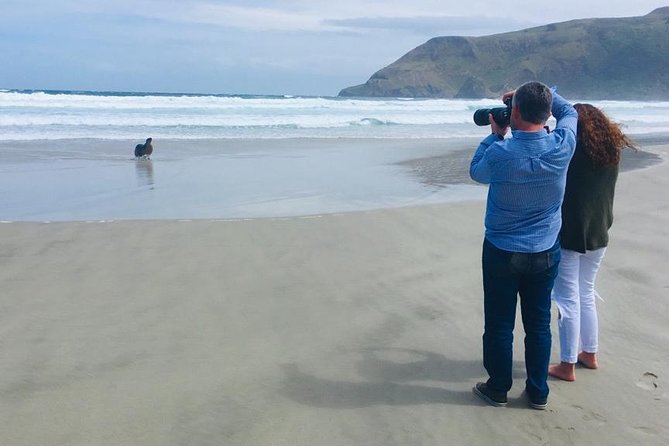Dunedin Shore Excursion: Small-Group Tour of Dunedin and the Otago Peninsula - From Port Chalmers to Dunedin: easy start, real focus