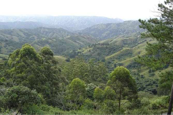 Durban Shore Excursion: Valley of 1000 Hills and PheZulu Tour - From MSC Nelson Mandela Cruise Terminal to the 1000 Hills: getting your timing right