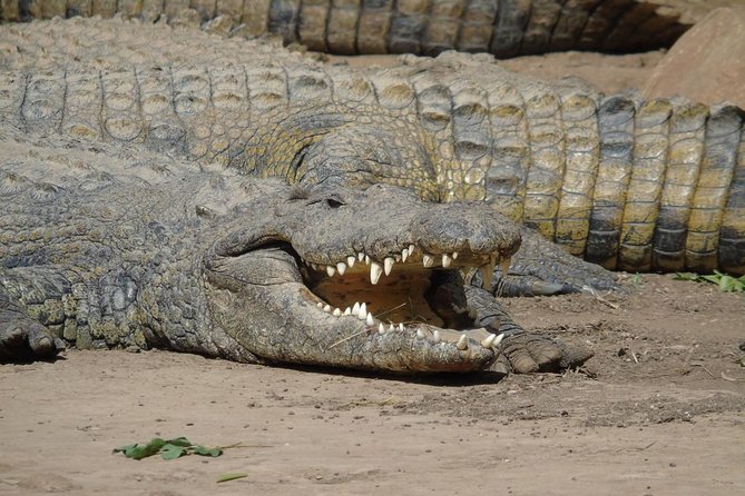 Durban Shore Excursion: Valley of 1000 Hills and PheZulu Tour - Valley of 1000 Hills: river views with real walking time