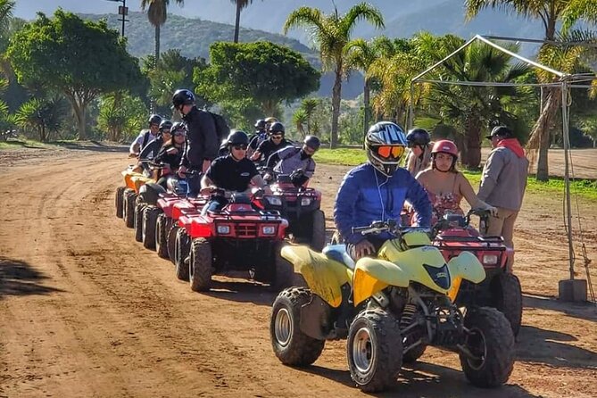 Enesenda Shore Excursion ATV Adventure with Tacos & wine tasting - Key Things to Know Before You Go (ATV, Tacos, and Timing)
