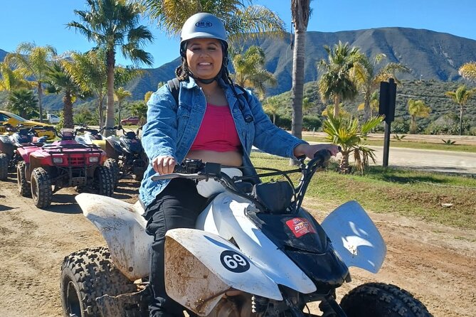 Enesenda Shore Excursion ATV Adventure with Tacos & wine tasting - La Bufadora Stop: Big Views, Busy Vendors, and Quick Decisions