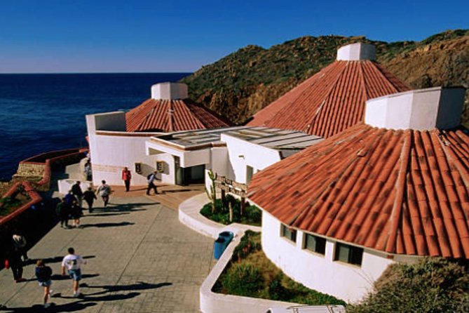 Ensenada Shore Excursion: City Tour & La Bufadora - Stop details: La Bufadora first, then a light city look
