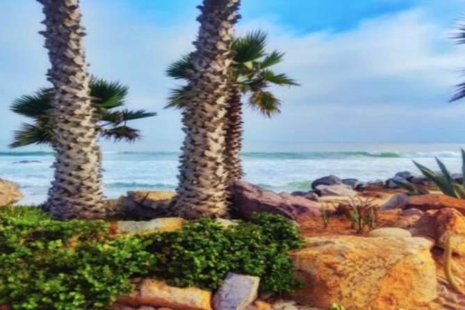 Ensenada Shore Excursion: City Tour & La Bufadora - FAQ