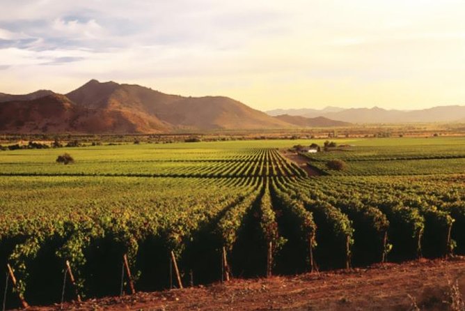 Ensenada Shore Excursion: Entre Santos and El Cielo Winery Tours with Lunch - Key things to know before you book