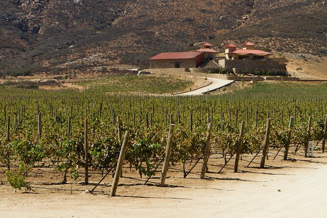 Ensenada Shore Excursion: Entre Santos and El Cielo Winery Tours with Lunch - Lunch at the winery restaurant: what you’ll likely get, and what to confirm