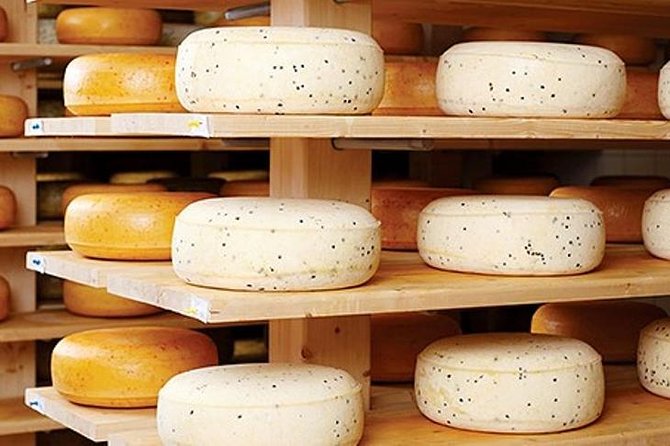 Ensenada Shore Excursion: Wine and Cheese Tour with Lunch in Ojos Negros Valley - Key highlights that make this tour work