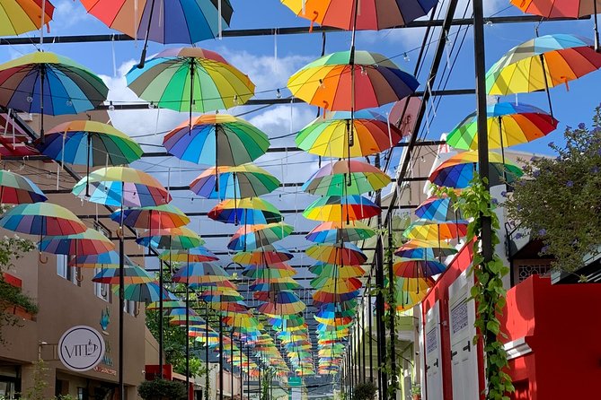 Explore Puerto Plata's Best & Cable Car - Shore Excursion - Key points worth knowing before you go