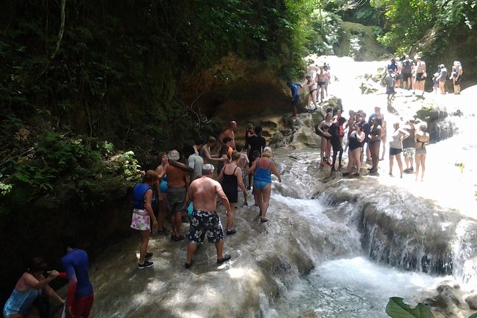 Falmouth Shore Excursion Blue Hole and Dunn's River Falls Combo - Who This Tour Fits Best (And Who Should Think Twice)