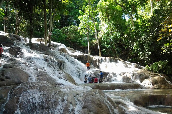 Falmouth Shore Excursion Dunn's River Falls - Key points worth knowing before you go