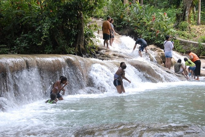 Falmouth Shore Excursion: Dunns River Falls and River Tubing Tour - Key Points Worth Knowing