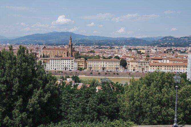 Florence Hop On Hop Off Shore Excursion from La Spezia - Timing tips: how to avoid long waits and missed connections
