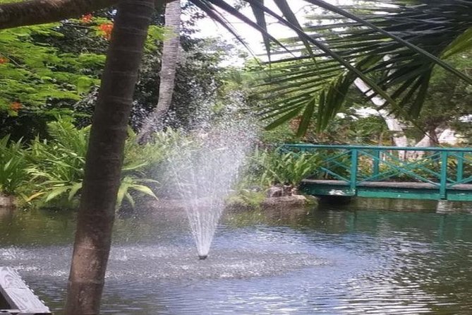 Freeport Shore Excursion: Garden of the Groves and City Tour - Garden of the Groves: Waterfalls, Trails, and the Right Amount of Time