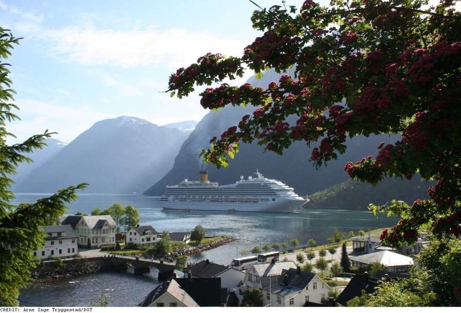 From Hellesylt: The Best of Geiranger Shore Excursion - Stryn and Easy Breaks: The “Breathe Here” Part of the Route