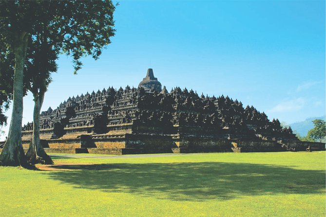 From Semarang Port: Borobudur Temple Private Shore Excursion - Port Pickup at Tanjung Emas: Where These Tours Make or Break Your Day