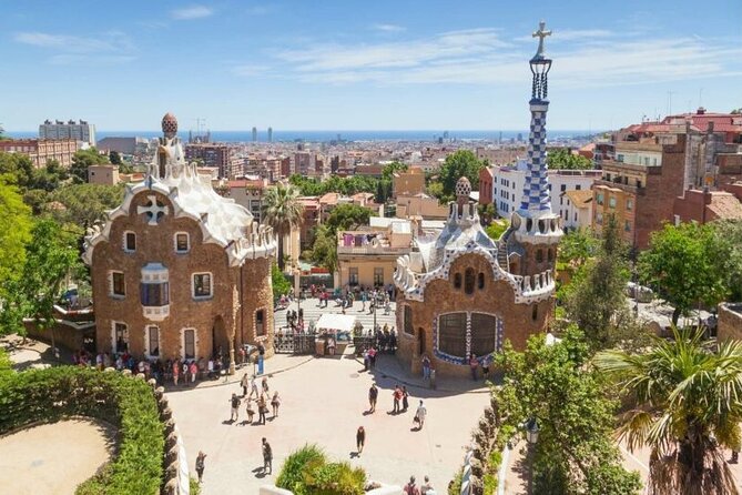 Full-Day Private Guided All Inclusive Barcelona Shore Excursion - Barcelona Cathedral: Terrace Light, Cloister Plants, and a Crypt Beneath