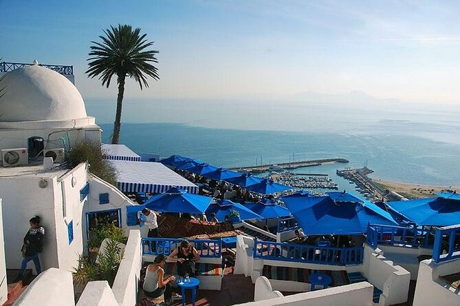 Full-Day Shore Excursion Private Tour in Tunisia Carthage ,Medina, Sidi Bou said - A Private Tunisia Day That Actually Fits Your Port Schedule