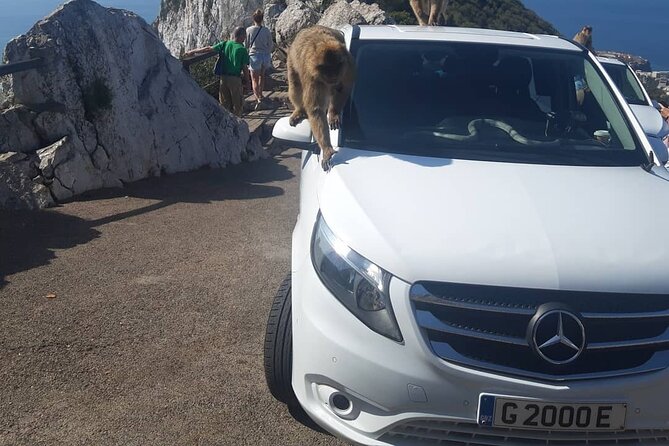 Gibraltar Sightseeing : Classic Shore Excursion (Private) - Price, timing, and who this private 8-seater suits