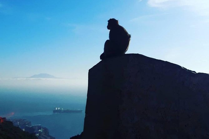 Gibraltar Sightseeing : Extended Rock Tour / Shore Excursion (Private) - Key Highlights You’ll Actually Care About