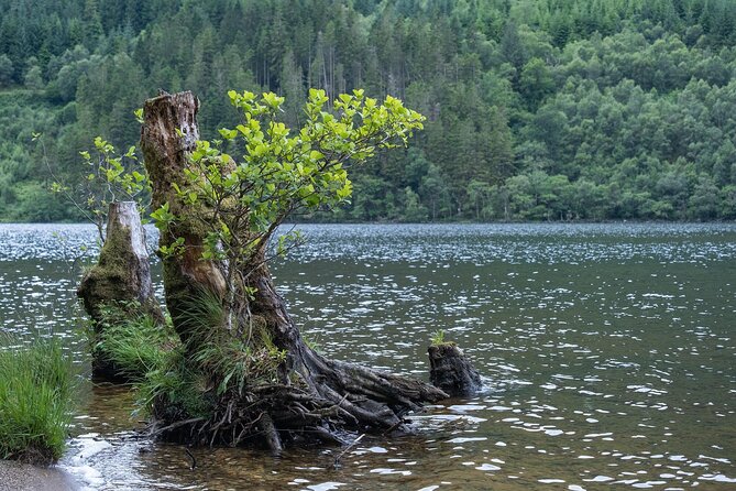 Glasgow Shore Excursion Loch Lomond Stirling Castle - Price and Value: Is $84.92 Worth It?