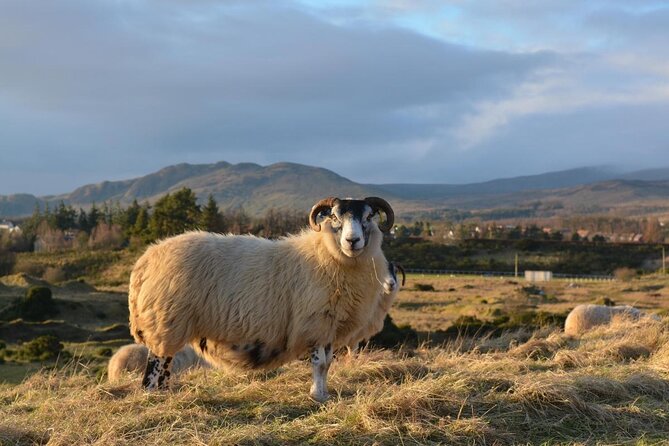 GREENOCK (GLASGOW) SHORE EXCURSION: Scotland Adventure Sightseeing Day Trip Tour - Key highlights worth caring about