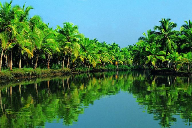 Group Shore Excursion from Cochin Port - From Cochin Port to backwaters: how the day flows