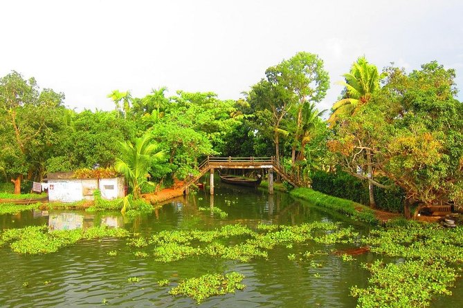Group Shore Excursion from Cochin Port - The guide matters: stories, pacing, and the one-on-one feel