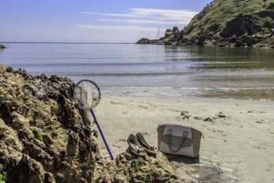 Guernsey Half Day Island Shore Excursion Tour - Town Terminus at 10:30: quick logistics that matter