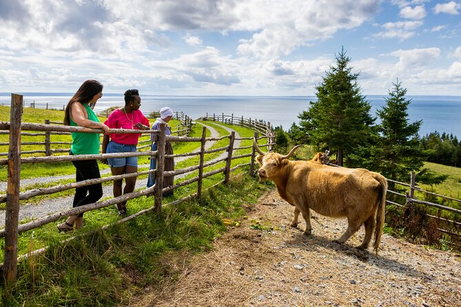 Guided Highland Village and Baddeck Bus Tour for Cruise Excursion - Baddeck in the middle: charming village time and lunch reality