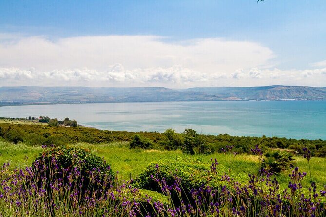 Haifa Port Shore Excursion: Nazareth and Sea of Galilee Day Tour from Haifa Port - Price and value: is $120 worth it for Haifa shore time?
