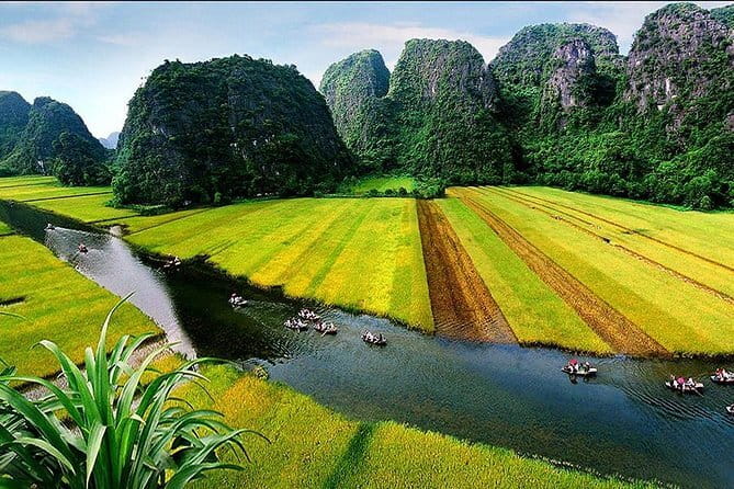 Halong Bay Shore Excursion 6 Hour Private Cruise from Cruise Port - Luon Cave: kayaking or a sampan ride through the water cave area