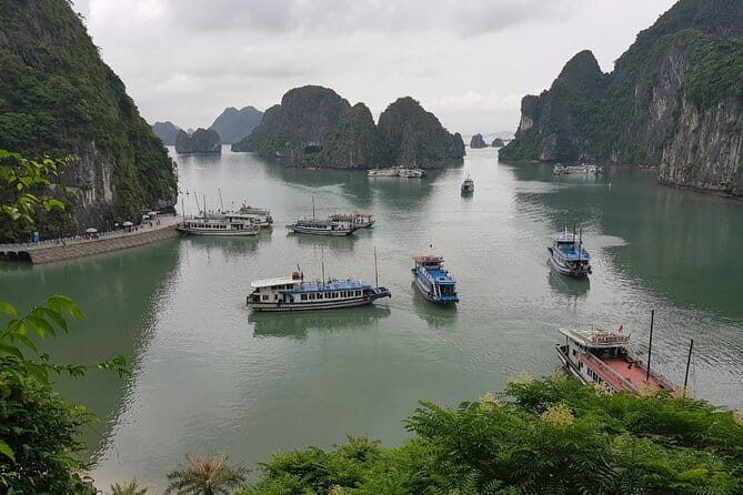 Halong Bay Shore Excursion: Full Day Cruise Tour from Cruise Port - Why this Ha Long Bay port cruise feels like solid value