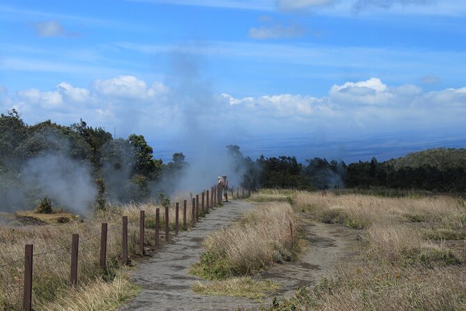 Hilo Shore Excursion: Active Volcano, Lava Tube, Waterfall and Gardens - Getting picked up on time: cruise ship, airport, and Hilo hotels