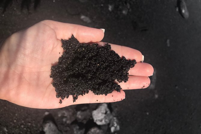 Hilo Shore Excursion: Volcano Safari Lava Caves & Black Sand - Kaumana Caves Park: walking a lava tube through a skylight