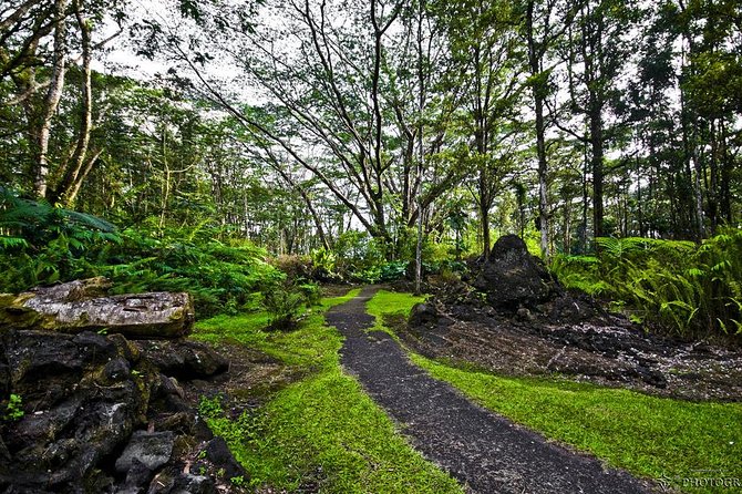 Hilo Shore Excursion: Volcano Safari Lava Caves & Black Sand - Pahoa and other flow-impact areas: seeing destruction up close