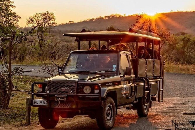 Hluhluwe Big Five Safari Richards Bay Shore Excursion - Game drives in the wilderness area: what your ranger experience is like