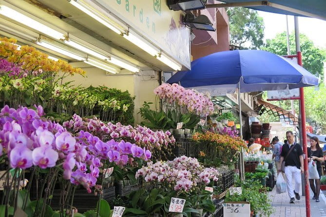 Hong Kong Private Shore Excursion 4/6hrs (with car - MPV) - Kowloon market stops: Lady Market, bird cages, and flower stalls