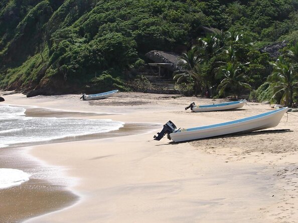 Huatulco Shore Excursion: Seven Bays Private Tour - Key Points at a Glance