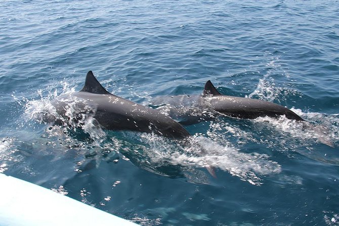 Huatulco Shore Excursion: Seven Bays Private Tour - Why a Private Charter Works So Well in Huatulco