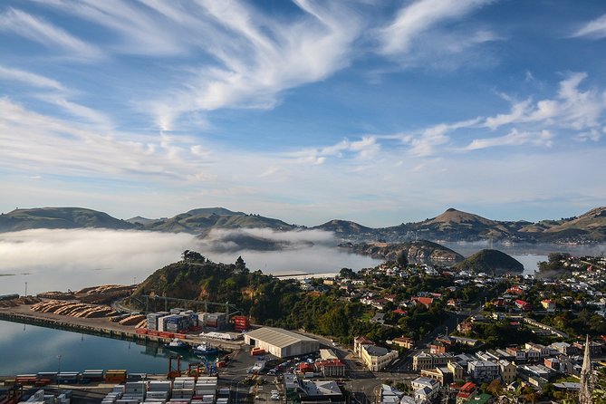 Iconic Shore Excursion: Dunedin City Highlights Tour - Quick hits before you commit