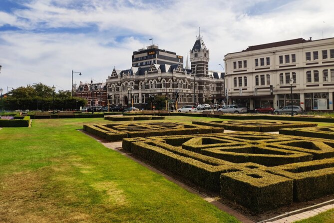 Iconic Shore Excursion: Dunedin City Highlights Tour - The Octagon hour: your one real chance to slow down (about 1 hour)