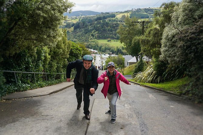 Iconic Shore Excursion: Dunedin City Highlights Tour - Price and value: why $61.44 can make sense