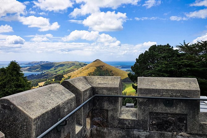 Iconic Shore Excursion: Iconic Larnach Castle Tour - Otago Peninsula drive: the road up to the castle