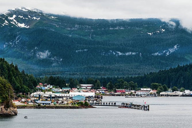 Icy Strait Shore Excursion: Whale Watching Adventure Tour - Bubble-Net Feeding: The Sighting That Makes This Tour Worth Paying For