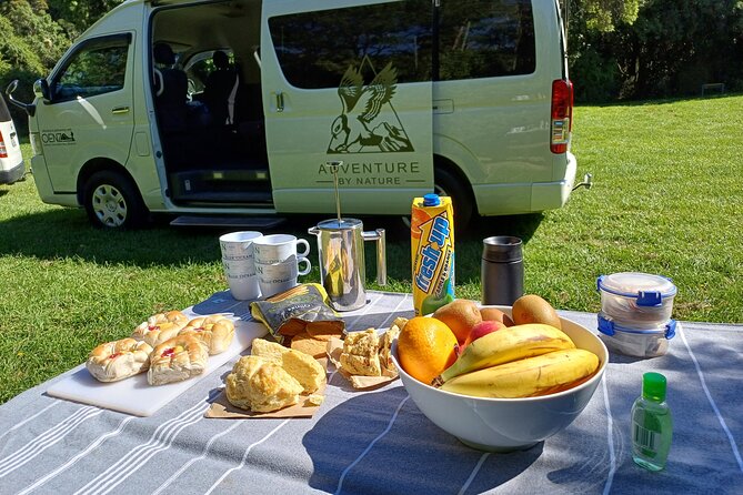 Inland Canterbury & Castle Hill Tour (Lyttelton Shore Excursion) - A guide who keeps the day matched to your feet