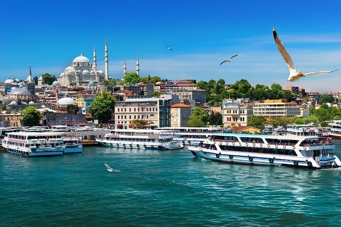 Istanbul Private Tour from Cruise Port - Reviews in plain terms: where the experience shines