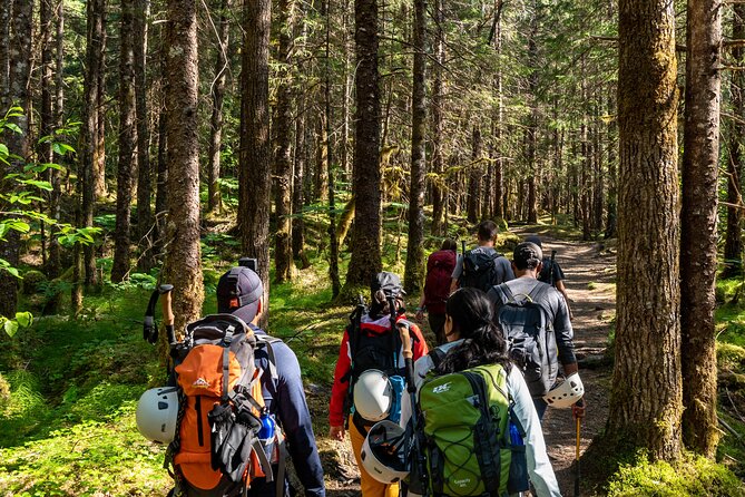Juneau Shore Excursion: Mendenhall Glacier Guided Hike - Key Points Before You Go