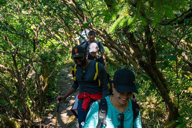 Juneau Shore Excursion: Mendenhall Glacier Guided Hike - Juneau’s Mendenhall Hike: What the Experience Feels Like
